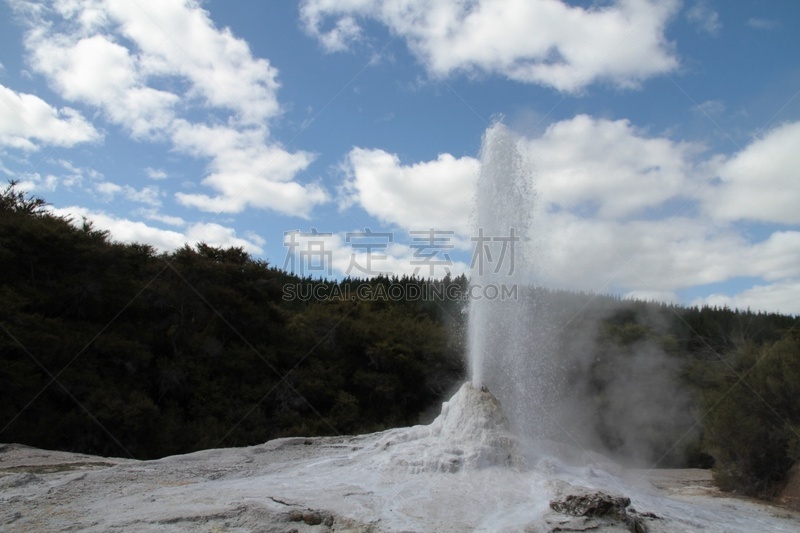 罗托鲁阿,新西兰,一只动物,部分,水,水平画幅,lake tarawera,无人,火山地形,户外