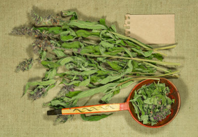 干的,鼠尾草,草药,草本,替代疗法,辅导讲座,草原,水平画幅,枝繁叶茂,无人