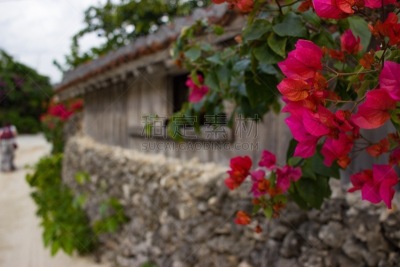房屋,竹富岛,旅途,热带气候,直的,小路,植物,石头,石墙,2015年