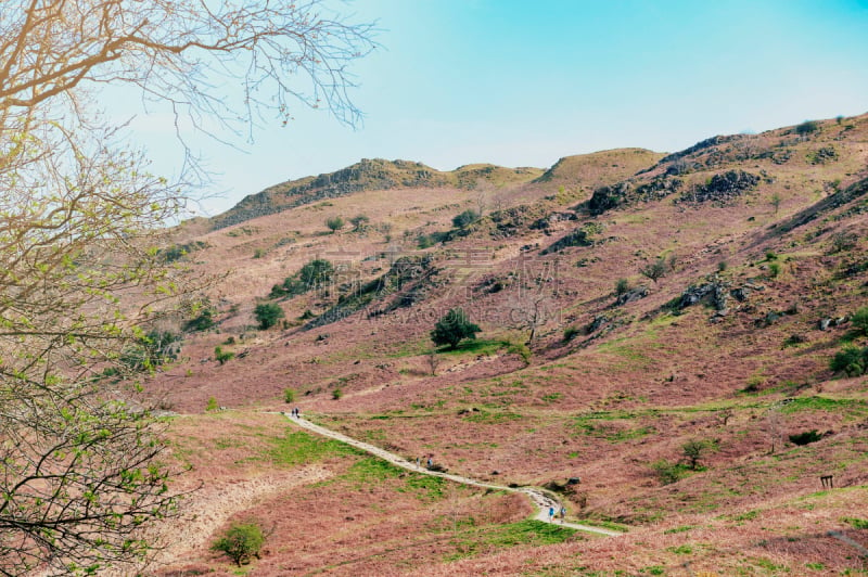 苔藓,英格兰,白色,海边公园,英国,河流,森林,英格兰湖区,风景,步行