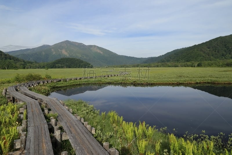 早晨,尾濑国立公园,水,天空,水平画幅,无人,福岛县,夏天,户外,著名景点