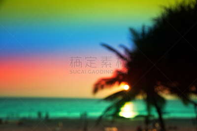 棕榈树,自然美,天空,美,狂喜状态,水平画幅,无人,早晨,户外,泰国
