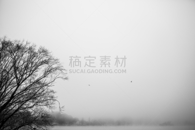 伯利·格里芬湖,雾,都市风光,水,天空,寒冷,水平画幅,无人,鸟类,偏远的