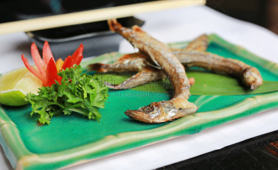 格子烤肉,鱼类,日本食品,开胃品,鱼子,海产,日本人,白色,柠檬,竹子