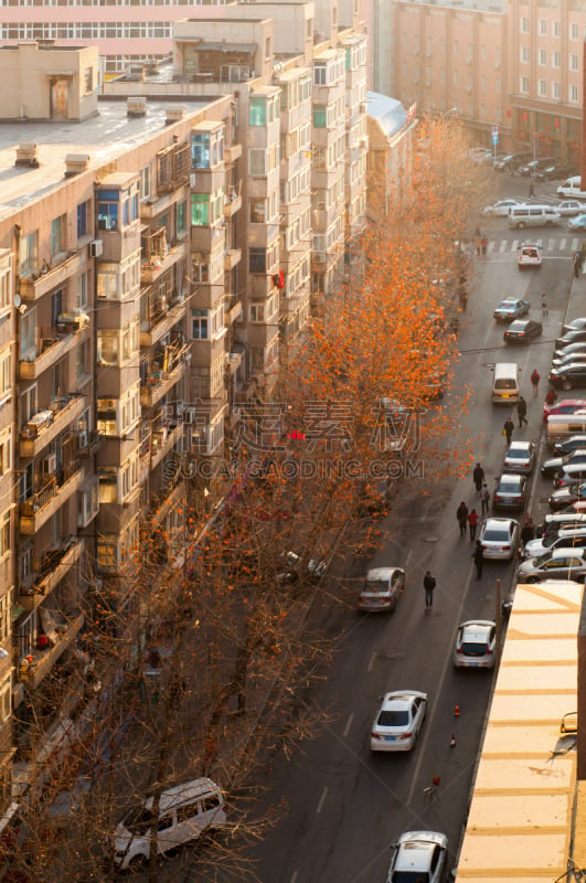 大连,市区,都市风光,垂直画幅,早晨,夏天,户外,都市风景,北,商务