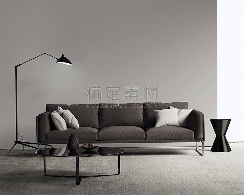 现代,沙发,极简构图,起居室,褐色,地毯,简单,水平画幅,灯