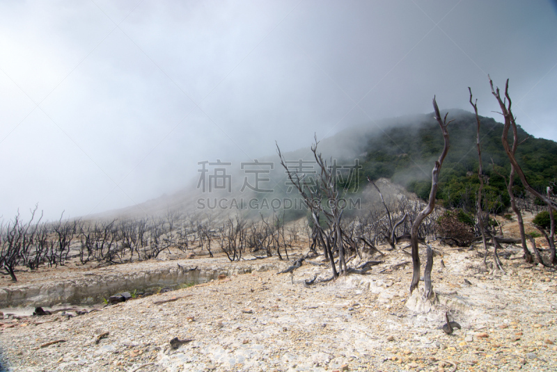 森林,佳路特,西爪哇,爪哇,火山,水平画幅,无人,火山地形,户外,火山口