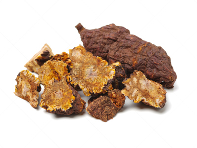 中医,蓼科杂草,白色背景,传统,商务,健康保健,过去,背景分离,药,替代医药