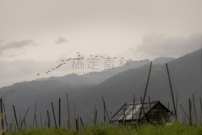 鸟类,高跷屋,缅甸,户外,山脉,自然,乡村,渔镇,房屋,风景