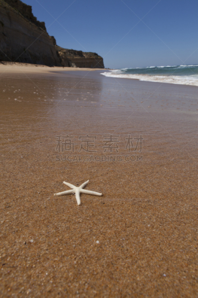 海滩,海星,沃纳姆堡,阿波罗小镇,巴思海峡,大洋路,坎贝尔海港,垂直画幅,无人,户外
