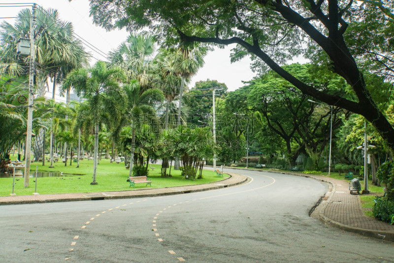 小路,自行车,慢跑,混凝土,格林公园,松弛练习,美,水平画幅,符号,草坪