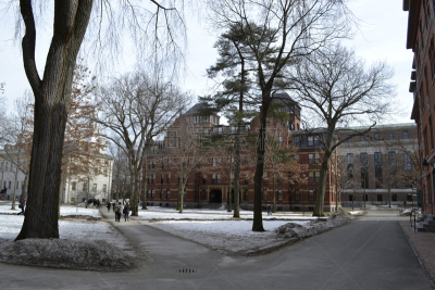 雪,哈佛,哈佛大学,常春藤盟校,水平画幅,大学,冬天,无人,户外,波士顿
