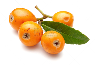 熟的,枇杷,水果,白色,叶子,分离着色,清新,背景分离,热带气候,食品
