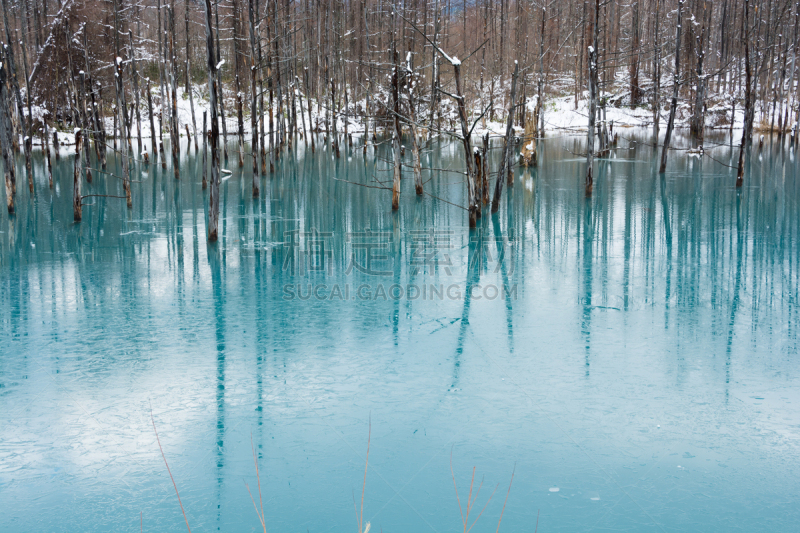 蓝色,冻结的,池塘,开端,美瑛町,贺卡,水平画幅,雪,消息,无人