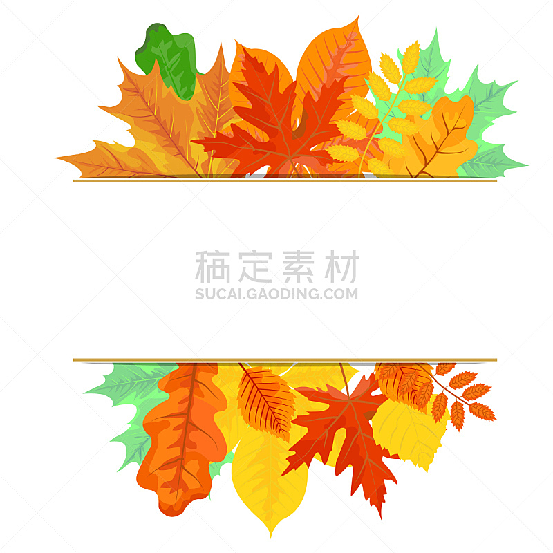 边框,绘画插图,明亮,叶子,季节,矢量,式样,秋天,艺术,无人