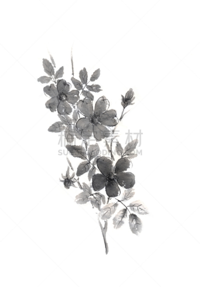 水墨画,野玫瑰,新的,日本,时尚,欧元符号,烟灰墨,墨水和刷子,象形文字,活力