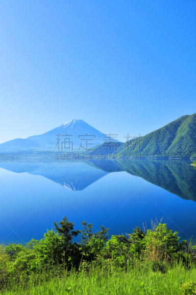 湖,山,富士山,自然,垂直画幅,天空,枝繁叶茂,无人,日本,东亚