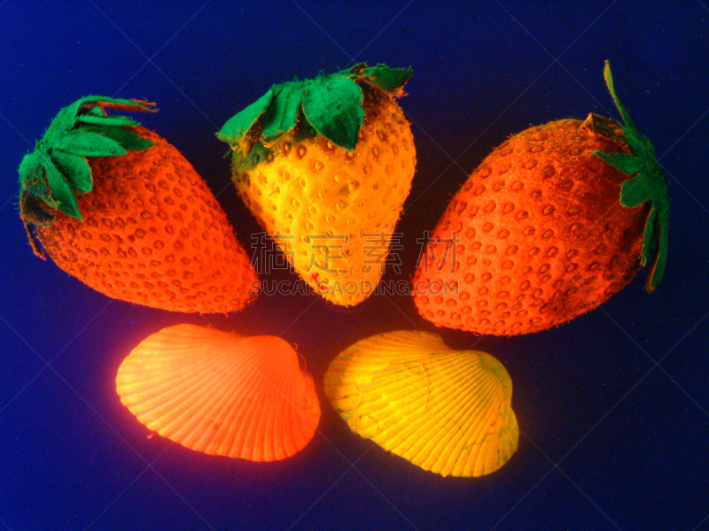 黑色,灯光技术,蔬菜,野草莓,照明设备,萨尔瓦多,食品,橙色,图像,草莓