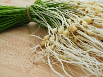 细香葱,成分,野生植物,韩国食物,蔬菜,清新,中文,香料,饮食产业,野葱