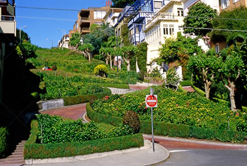 旧金山,伦巴底街,美国,旅游目的地,水平画幅,2015年,carole lombard,旅行者,街道,户外