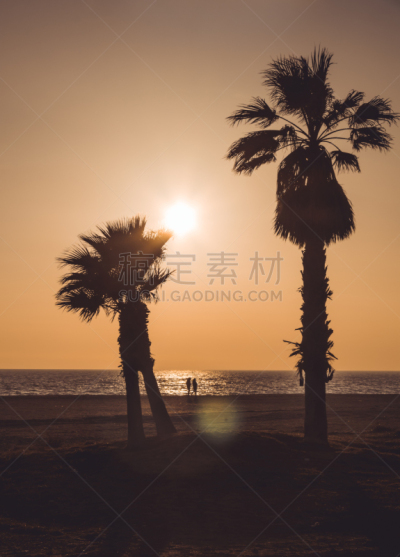 海滩,家庭,浪漫,椰子,女人,甜食,儿童,阴影,夏天,户外