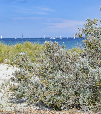 珀斯,海洋,西澳大利亚,海滩,看风景,云,弗里曼特尔港,fremantle,印度洋,海岸线