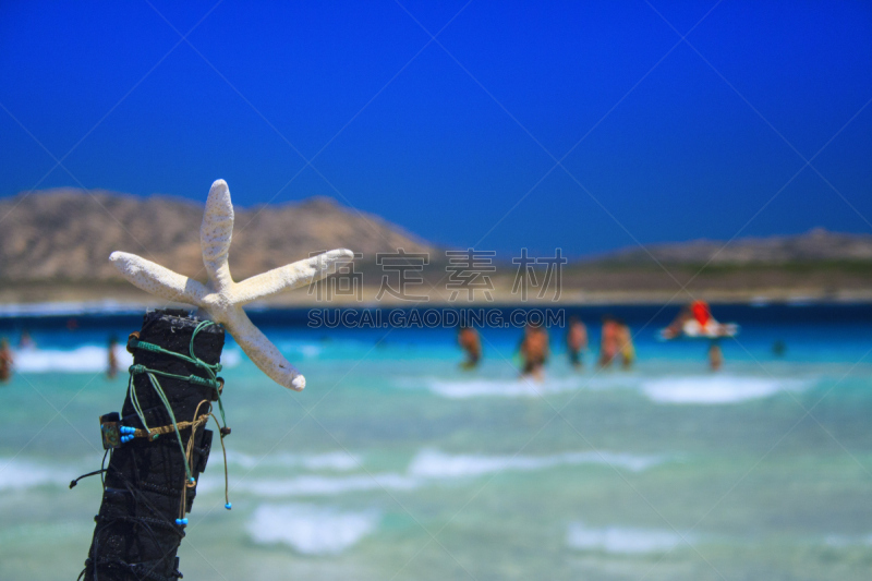 海星,夏天,斯廷蒂诺,萨萨里,有空房,撒丁岛,旅游目的地,水平画幅,无人,户外