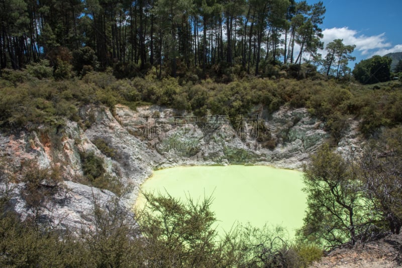 恶魔,巴斯,桨叉架船,活力,色彩鲜艳,色彩饱和,脊,植物,lake taupo,火山口