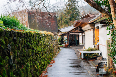 京都府,日本,大原,乡村,雨,农业,传统,湿,清新,巷