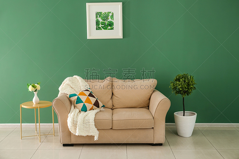 沙发,现代,舒服,室内,桌子,彩色图片,起居室,墙,软垫,装饰物