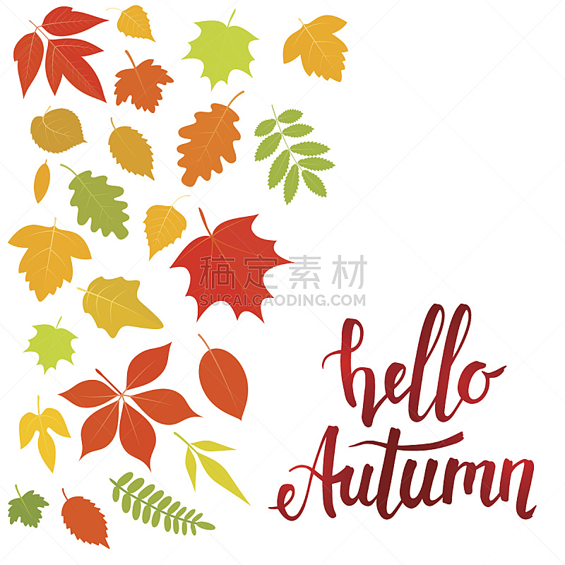 你好,秋天,叶子,清新,美术工艺,环境,橙色,山梨树,色彩鲜艳,四方连续纹样