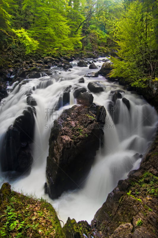 river braan,三只动物,敦克尔德,珀斯－苏格兰,佩思,路虎,珀斯金罗斯,垂直画幅,水