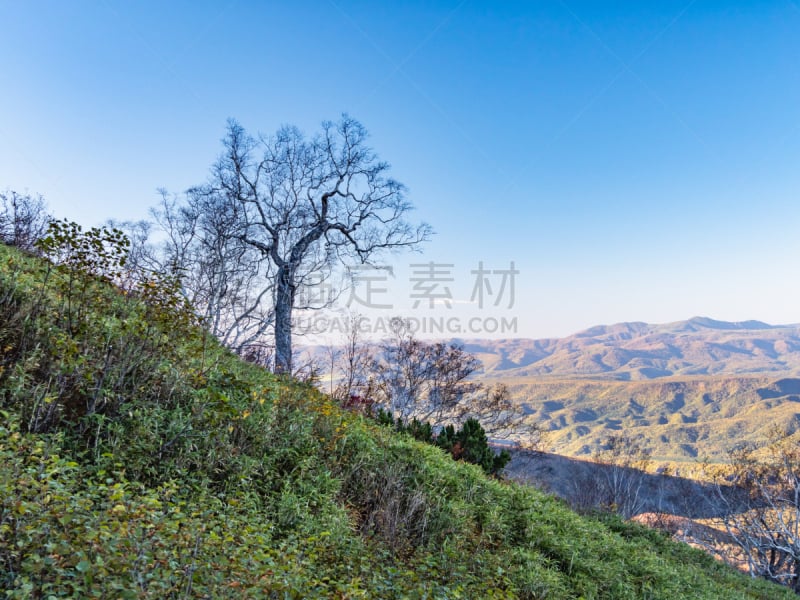 日本,山谷,风景,北海道,山,自然美,在底端,名声,居住区,获胜