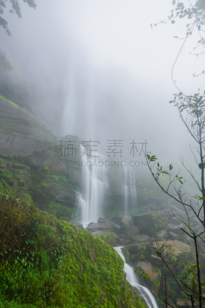 地形,瀑布,深的,雨林,波罗芬高原,占巴塞,自然,垂直画幅,绿色,无人