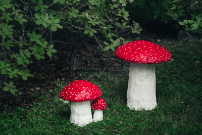 手艺,三个物体,鹅膏菌,新的,艺术,水平画幅,进行中,夏天,户外,草