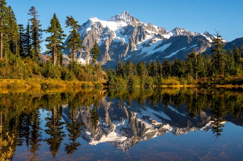 秋天,舒克森山,美国西北太平洋地区,华盛顿州,公园,华特康县,北喀斯开山脉,草,自然美,饮用水