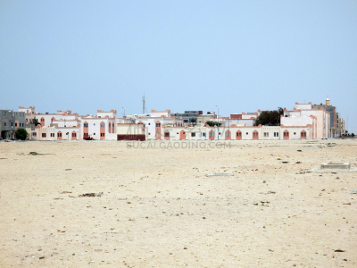 western sahara,乡村,地形,干热气候,西撒哈拉沙漠,达禾赖绿洲,热,空的,摩洛哥,沙漠