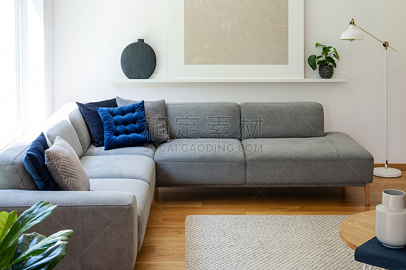 灰色,沙发,植物,公寓,灯,室内,枕头,蓝色,角落