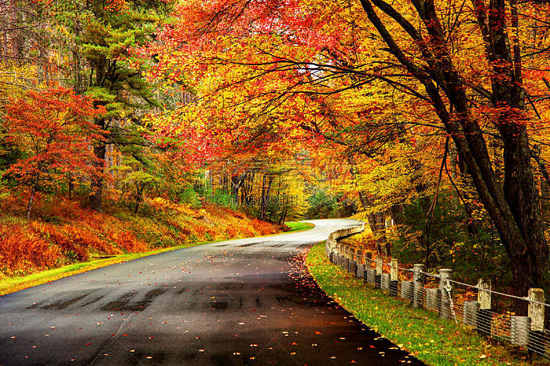 马萨诸塞,秋天,路,新英格兰,秋季系列,四季,枝繁叶茂,叶子,地形,公路