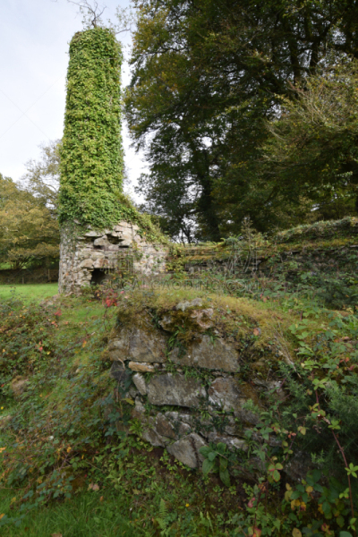 bodmin moor,矿内巷道,自然,锡矿石,簇叶从生的,垂直画幅,康沃尔,图像,英国,采矿业