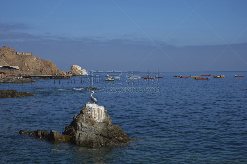 滨水,水,天空,水平画幅,山,无人,鸟类,海岸地形,户外,干的