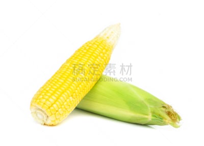 清新,甜玉米,分离着色,白色背景,农业,蔬菜,食品,泰国,熟的,成分