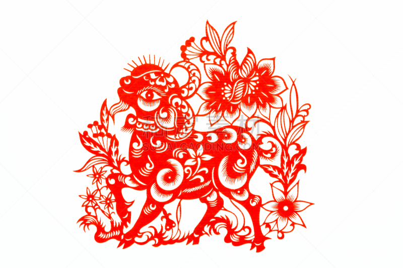 动物,传统,春节,绵羊,羊年,切断