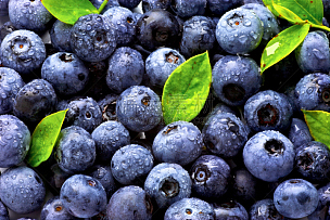 蓝莓,水平画幅,水果,无人,浆果,熟的,水滴,彩色图片,露水,摄影