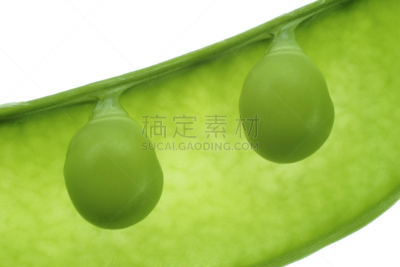 一模一样,猛咬,水平画幅,居住区,农作物,植物,彩色图片,豆荚,清新