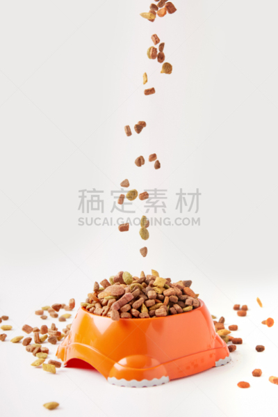 塑胶,碗,狗食,白色,宠物食品,谷物,特写,清新,营养品,食品