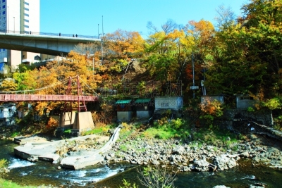 秋天,温泉,札幌,北海道,风景,黄色,红色,图像,叶子,足浴