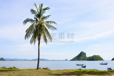 海滩,渔船,风景,巴蜀,水,天空,水平画幅,沙子,无人,椰子