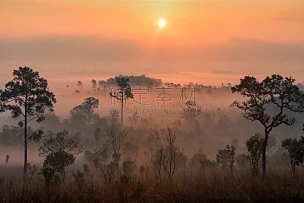 泰国,雾,黎明,地形,森林,自然美,秘密,旅途,飘然,环境