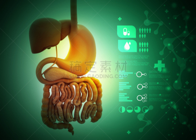 人,顺序,胆囊,有序,水平画幅,忠告,特写,做计划,计划书